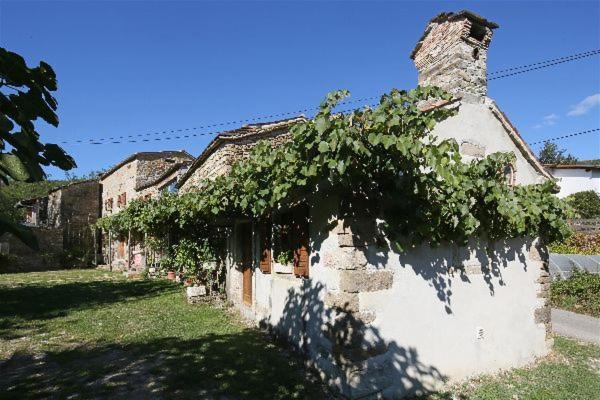 Villa Istrian Experience Socerga Exterior foto